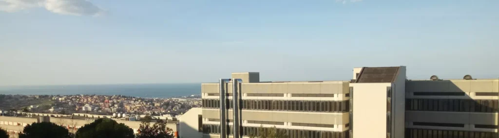 Marche Polytechnic University